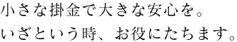 小さな掛金で大きな安心を。いざという時、お役にたちます。